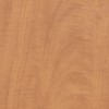 Sugar Maple - SM